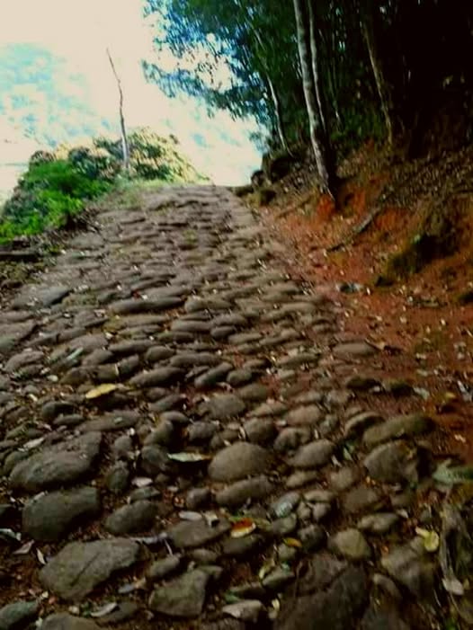 El camino de las tropas (1)