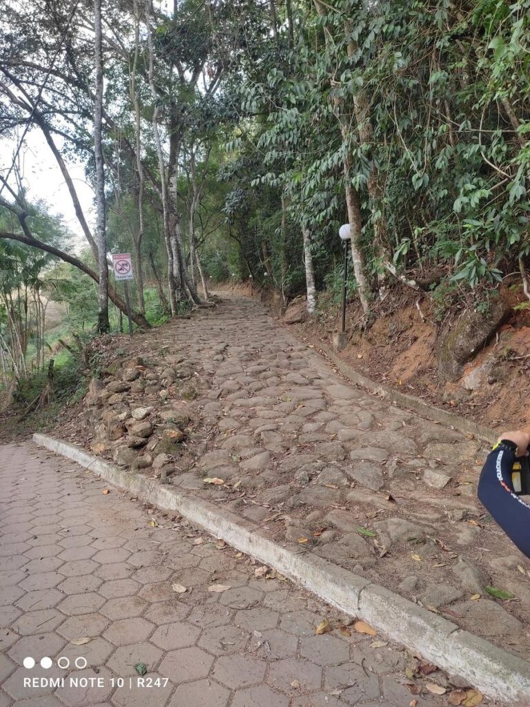 El camino de las tropas, y (2)