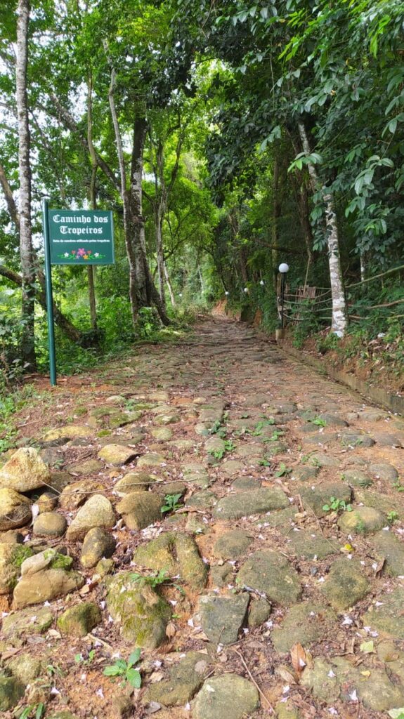 El camino de las tropas, y (3)