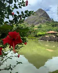 Stay for the Rock Oz