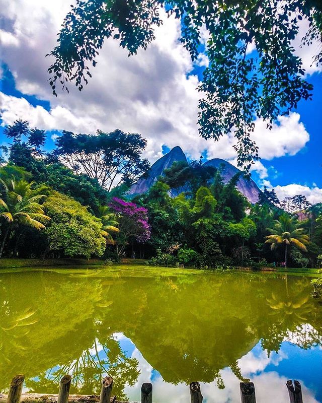 The office the Rock of Oz