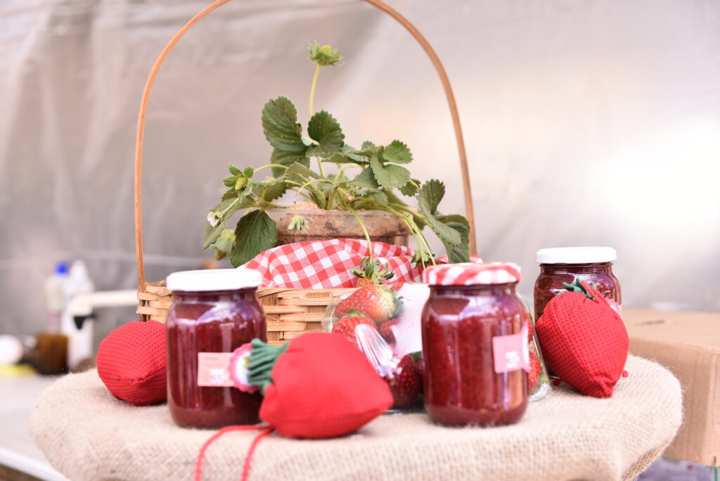 LA FERIA DE LA FRESA