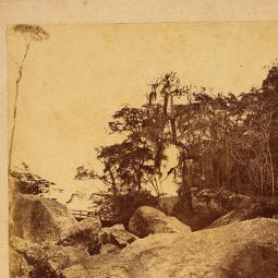 La Foto de la historia de la ciudad (5)