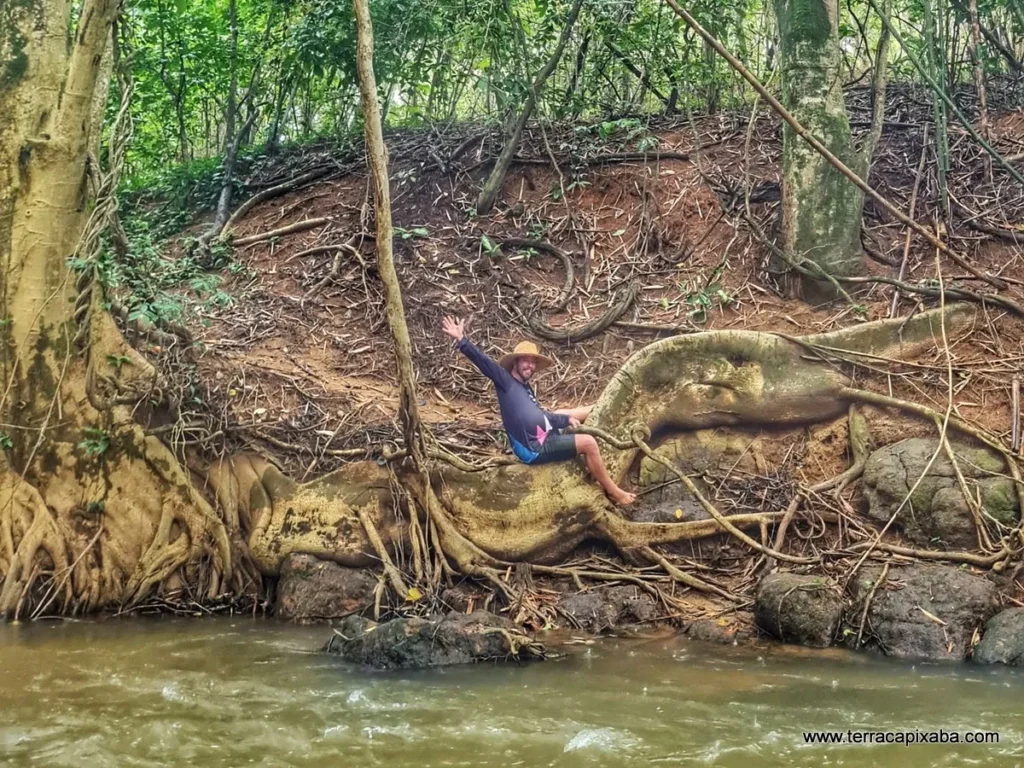 raiz-do-dinossauro-em-joao-neiva-1