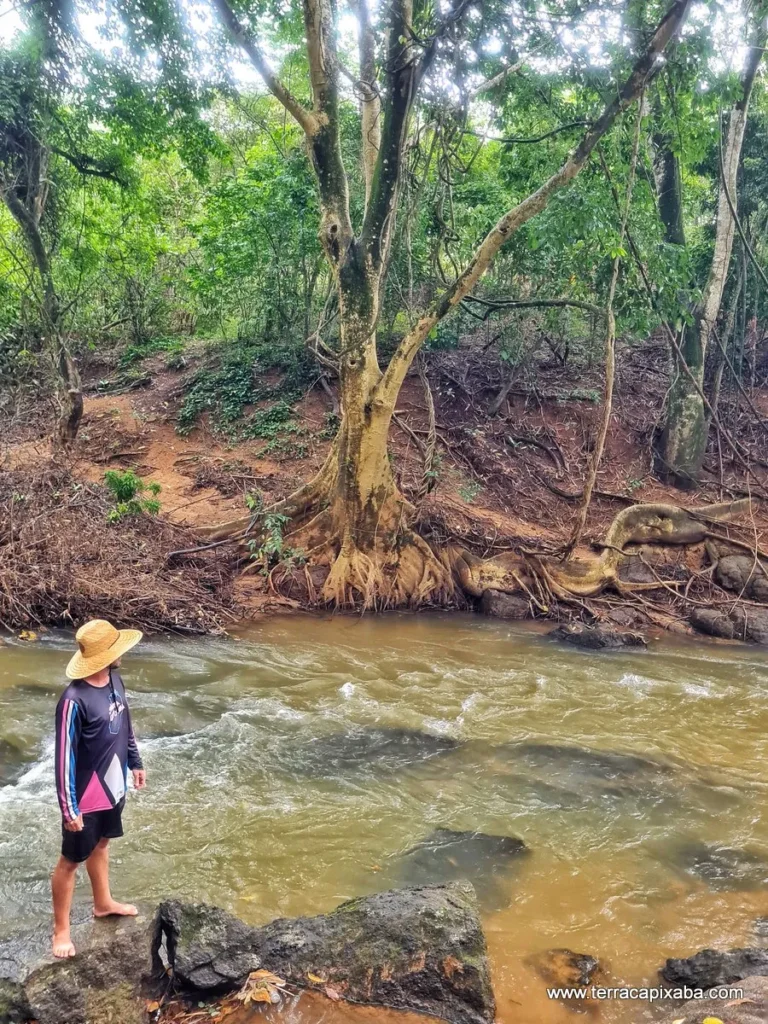 raiz-do-dinossauro-em-joao-neiva-6