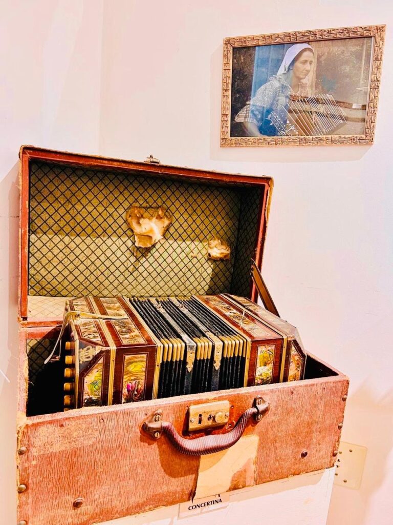 WhatsApp Image 2025-11-07 at 18.17.40